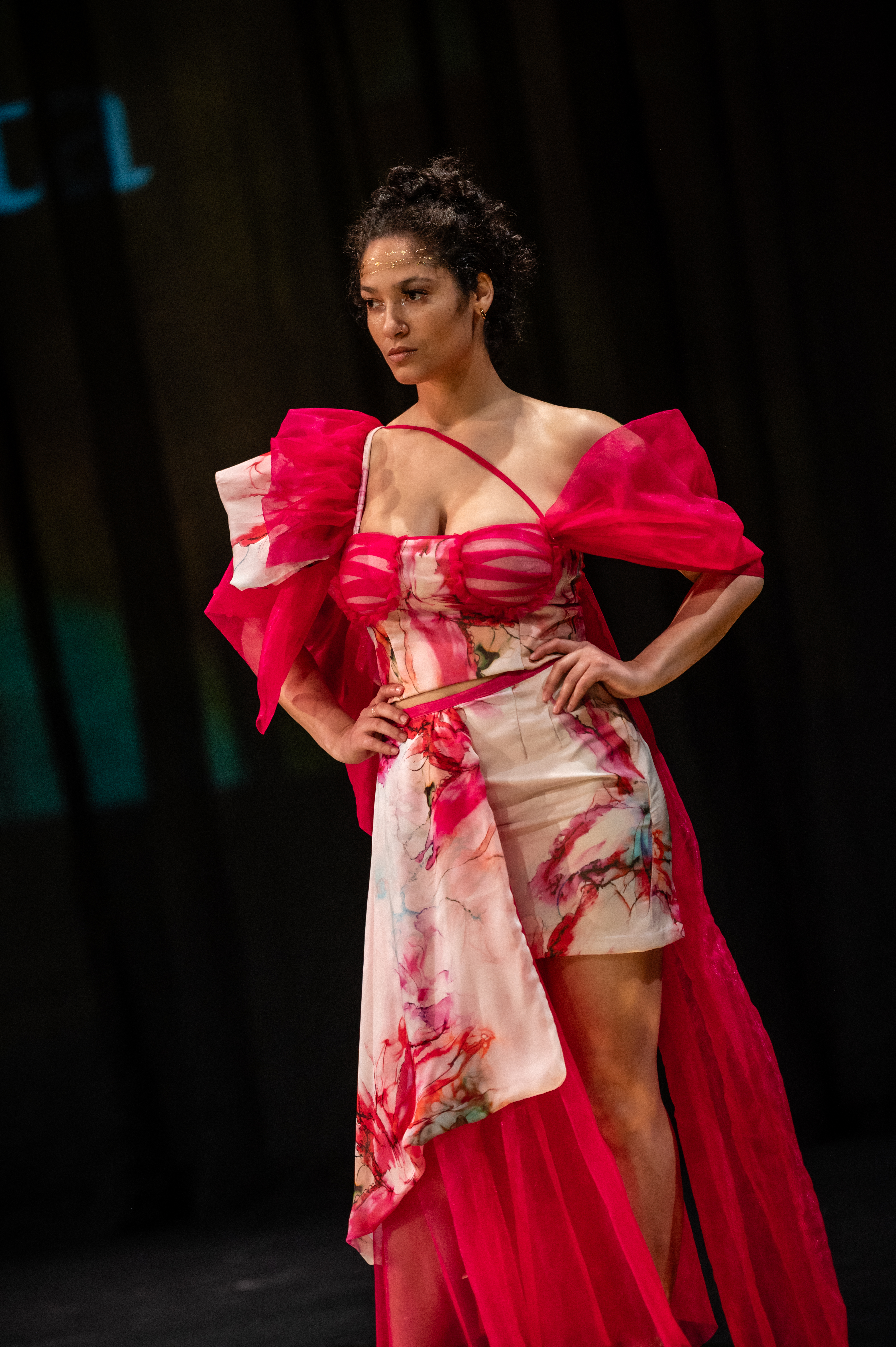 The Methamorphosis dress